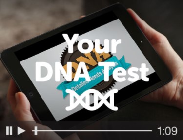 Your DNA Test