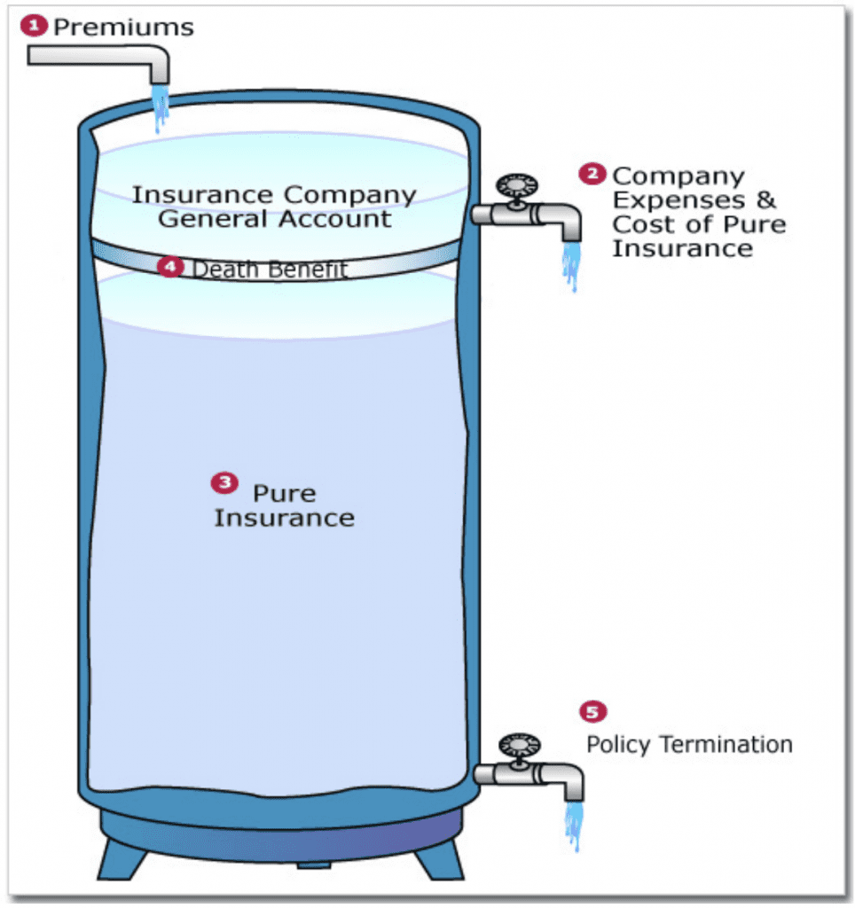 Infographic diagram shows how life term insurance works